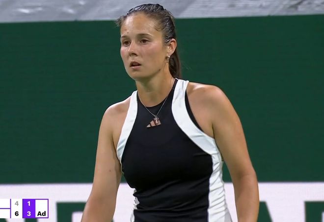 类社会活动 类社会活动